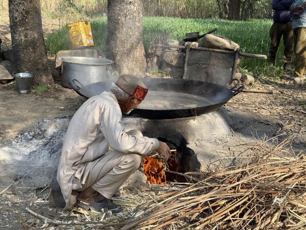 Udhampur’s Sweet Heritage: How a 250-Year-Old Oxen-Powered Jaggery Tradition Defies Industrial Automation
