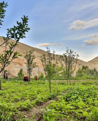 Ladakh Approves Notor Land Rules, Grants Rights Up to 10 Acres